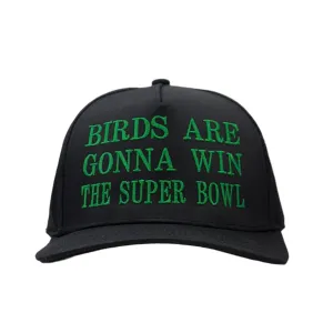 Birds Are Gonna Win The Bowl Custom Embroidered Hat SnapBack