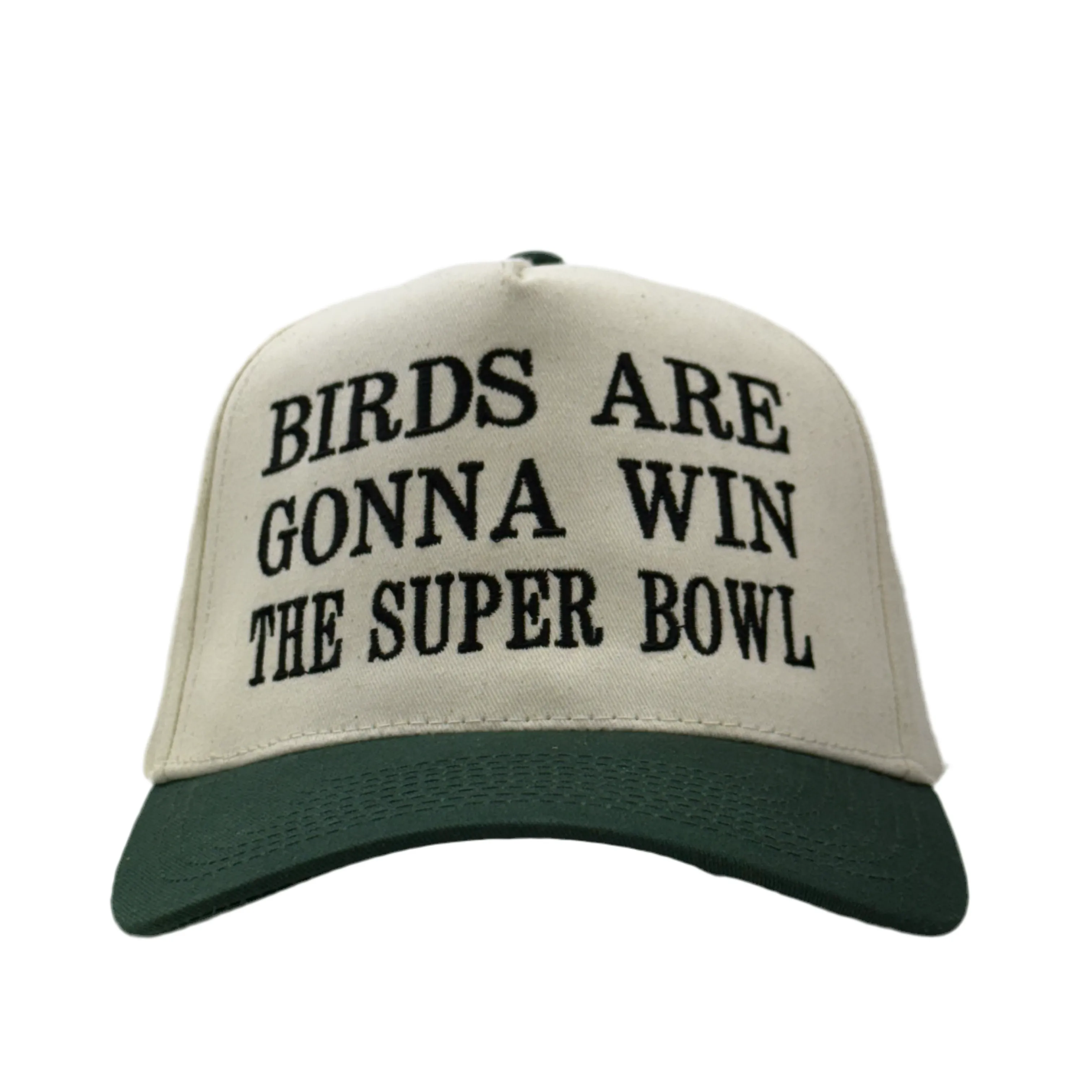 Birds Are Gonna Win The Bowl Custom Embroidered Hat SnapBack