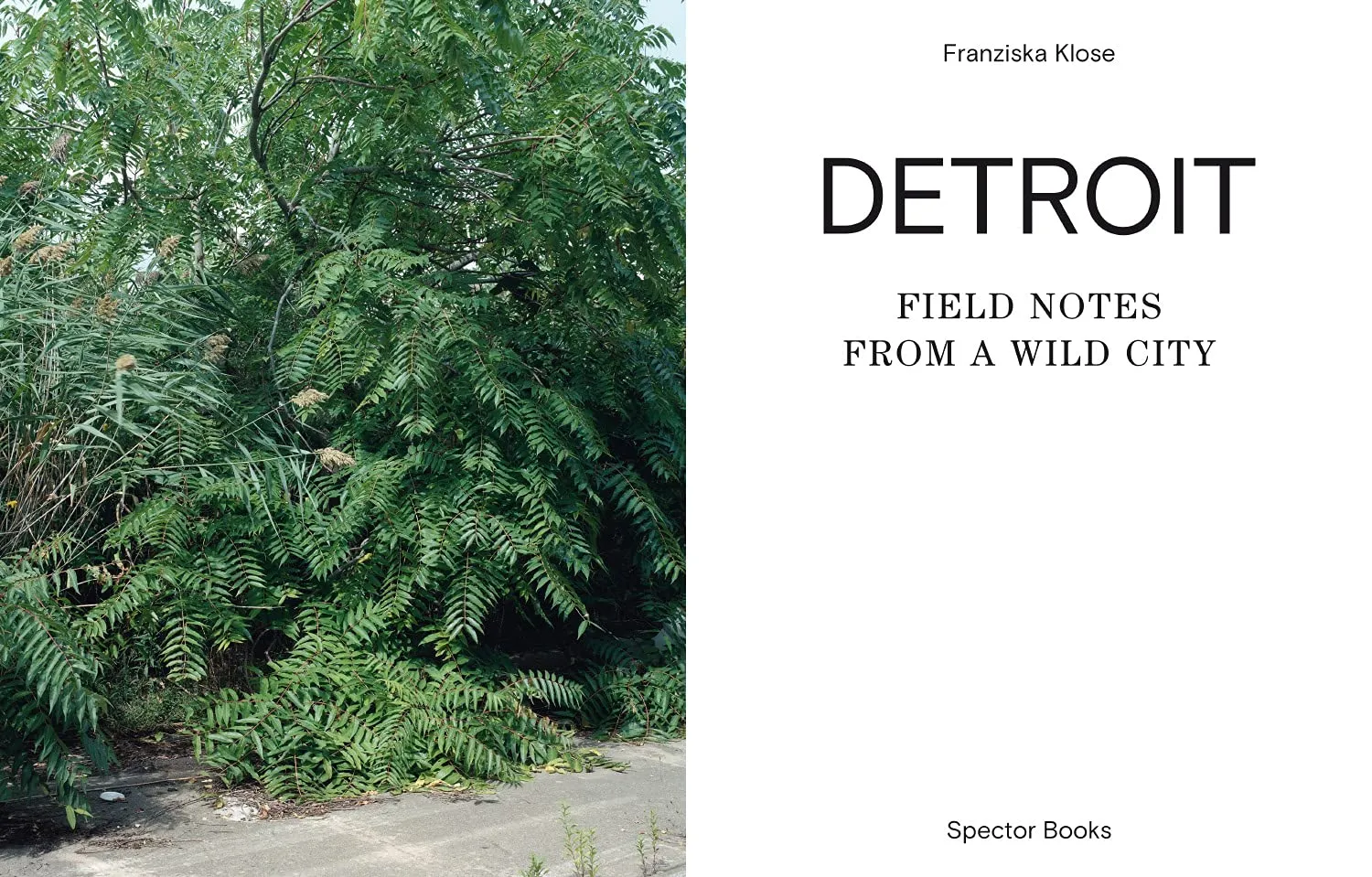 Detroit