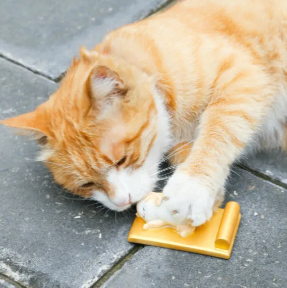 Forbidden City Royal Cat Sleeping in Imperial Bed Smartphone Stand