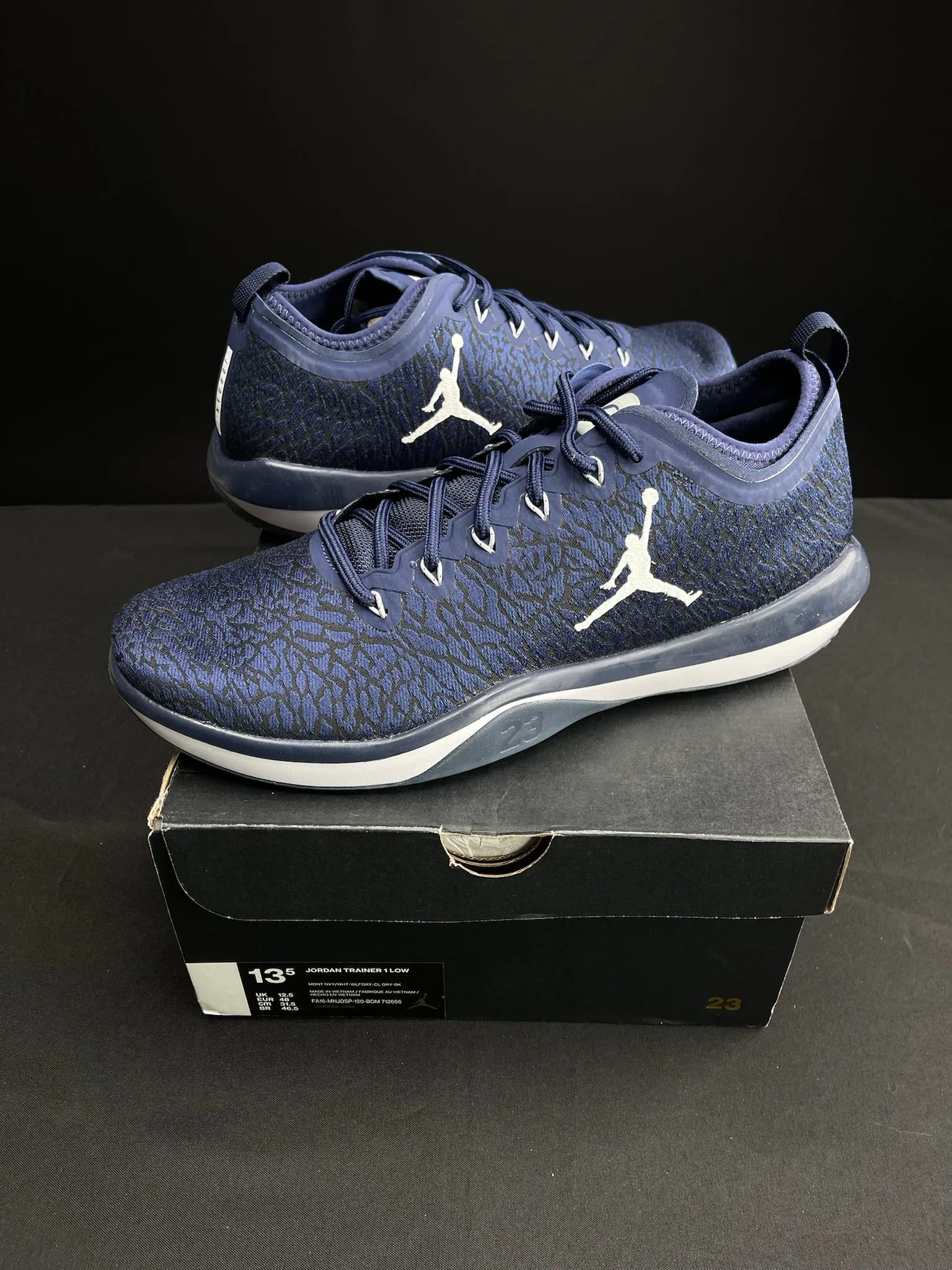 Jordan Trainer 1 Low Georgetown PE