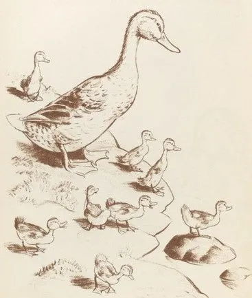 Make Way for Ducklings Book