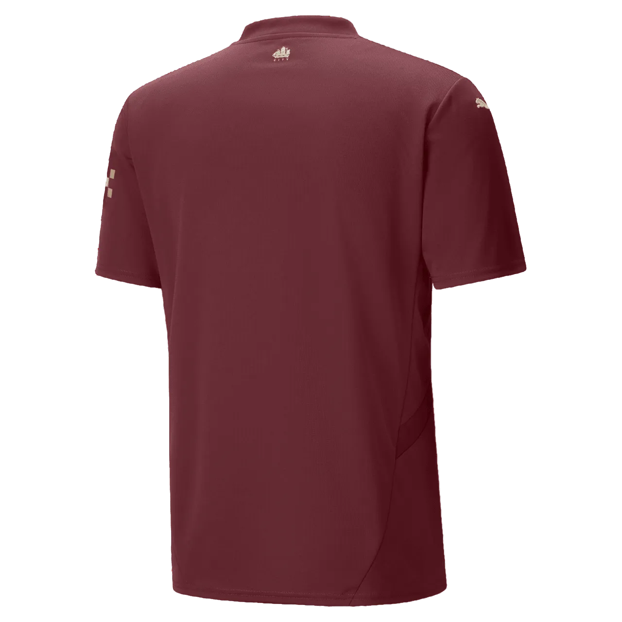 Manchester City 24/25 Third Jersey (77520103)