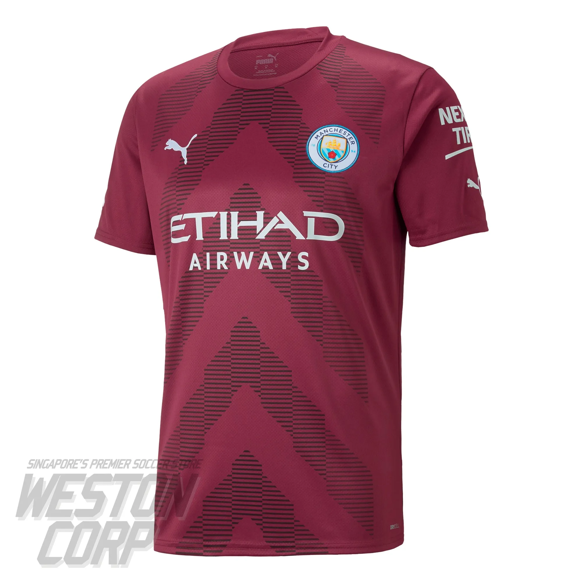 Manchester City Adult 2022-23 Goalkeeper Jersey (Grape Wine)