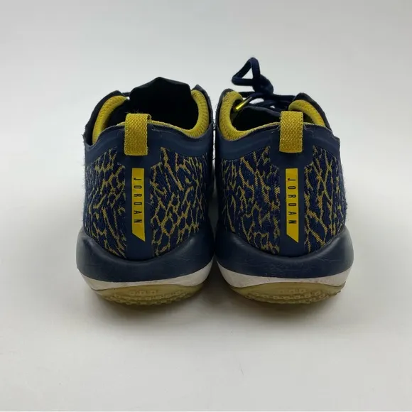 Nike Air Jordan Trainer 1 Low Michigan Wolverines 845403-420 Men's Size 11