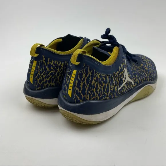 Nike Air Jordan Trainer 1 Low Michigan Wolverines 845403-420 Men's Size 11
