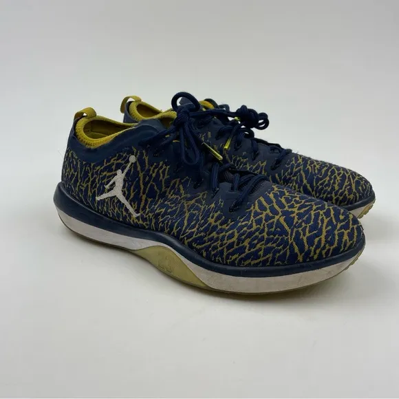 Nike Air Jordan Trainer 1 Low Michigan Wolverines 845403-420 Men's Size 11