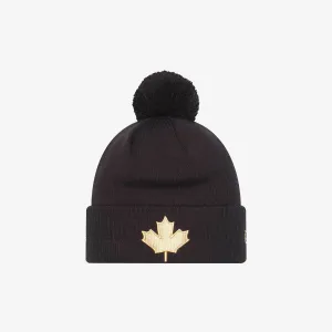 Toronto Raptors Alternative 9Fifty City Edition Beanie