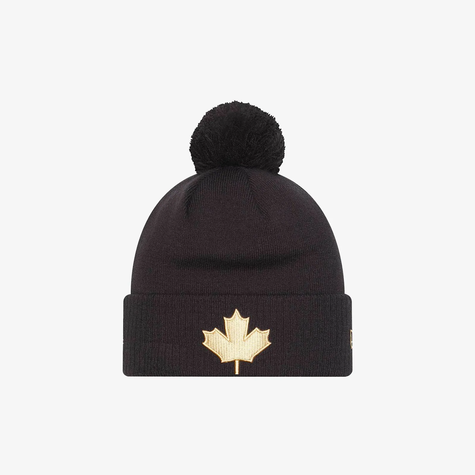 Toronto Raptors Alternative 9Fifty City Edition Beanie