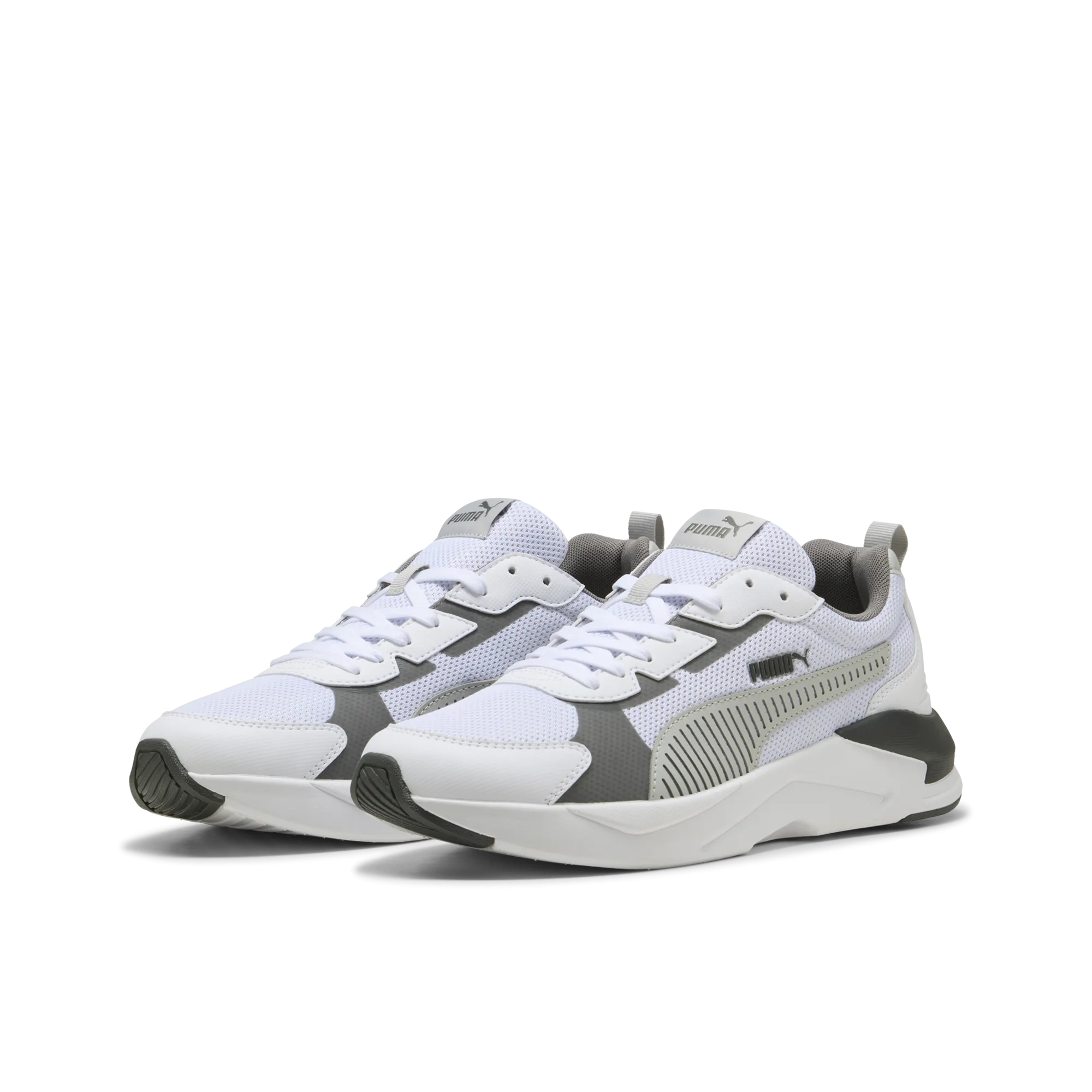 X-Ray 3 Lt