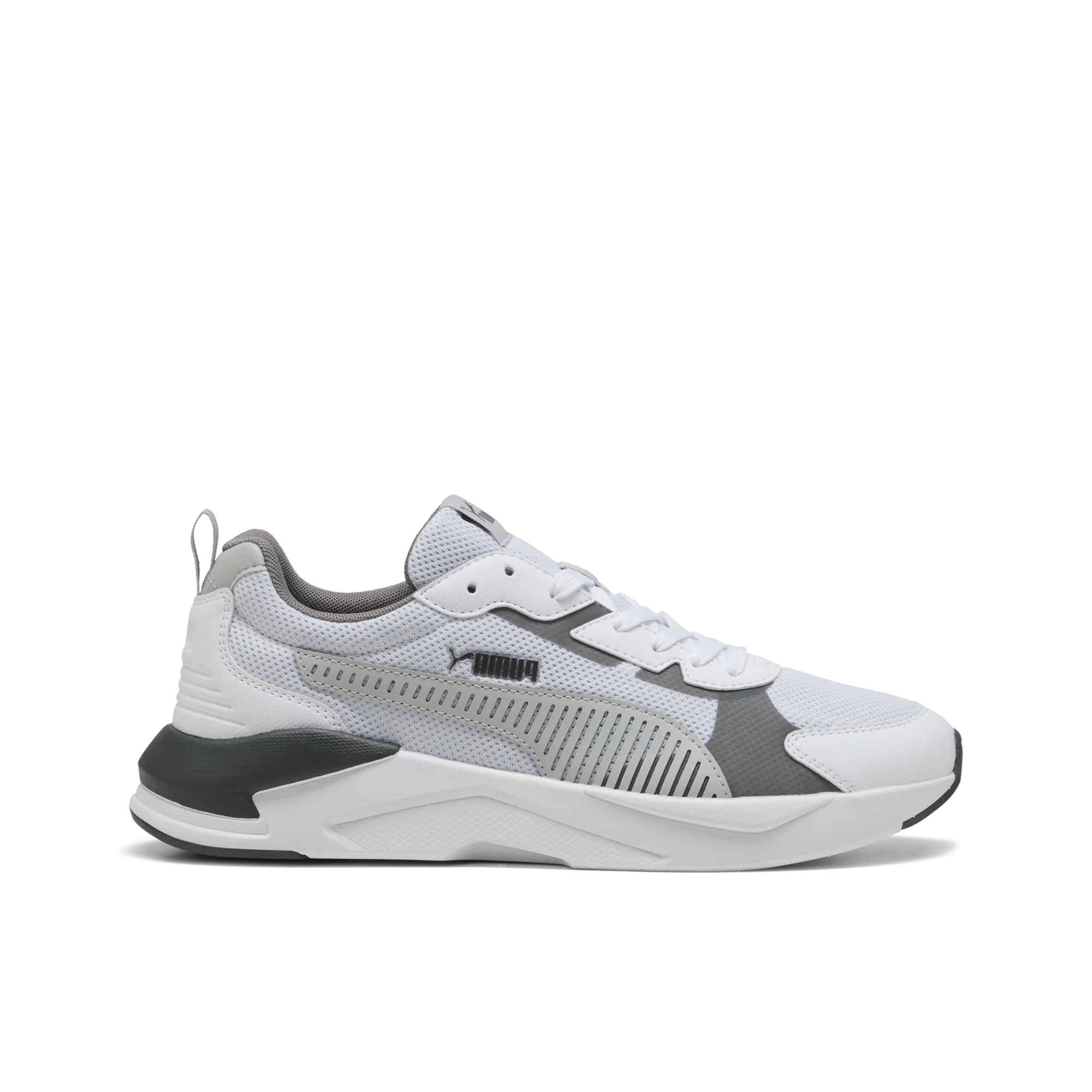 X-Ray 3 Lt